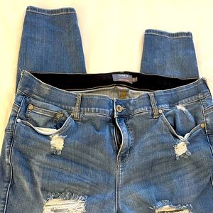 Torrid Jeans